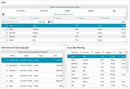 Image result for WinForms GridView