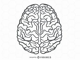 Image result for Head Brain Vector