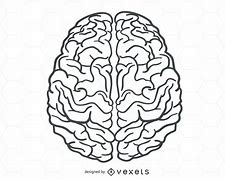 Image result for Mind and Brain Vector
