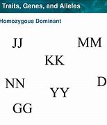 Image result for Homozygous Dominant Letters