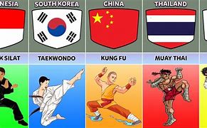 Image result for What Are All the Martial Arts in the World