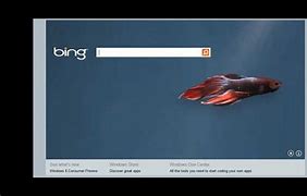 Image result for Recent Bing Homepage