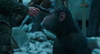 Image result for Planet of the Apes Drip Meme