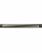 Image result for Stainless Steel Gate Spring