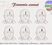 Image result for fisonomiwta