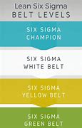 Image result for Lean Six Sigma Belts Order