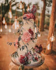plantas penduradas ao ar livre a imagem pode conter flor planta e atividades ao ar plantas penduradas ao ar livre a imagem pode conter flor planta e atividades ao ar