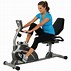 Image result for Best Recumbent Exercise Bike