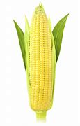 Image result for Corn Kid Meme