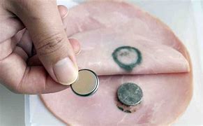 Image result for Button Battery On Meat