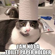 Image result for Paper Cat Meme