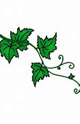 Image result for Vines Growing around Drawing