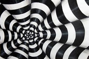 Image result for Optical Illusion Art Artist