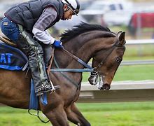 Image result for Types of Horse Bets