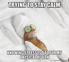 Image result for Trying to Stay Calm Meme