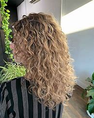 Image result for Curly Hair with Highlights