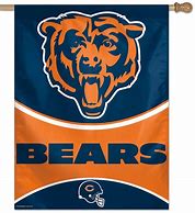Image result for The Chicago Teddy Bears Banner