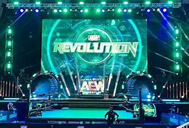 Image result for WWE New Year's Revolution
