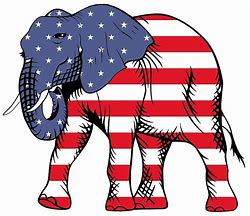 Image result for RNC Elephant