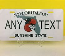Image result for Florida Novelty License Plate