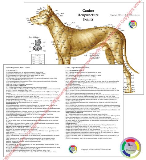 Image result for Grade 12 Computer Science Syllabus