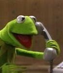 Image result for Kermit Puppet Meme