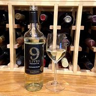 Image result for Vina San Pedro Sauvignon Blanc Gato Negro 9 Lives Reserve