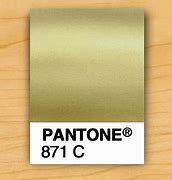 Image result for Rose Gold Color Code Tailor Brands