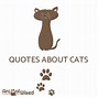 Image result for White Cat Quotes
