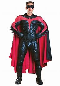 Image result for Batman and Robin Costumes for Men