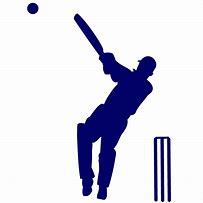 Image result for Spier Cricket