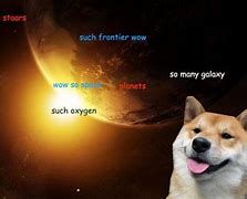 Image result for Space Doge Meme