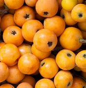 Image result for Small Green Apple Looking Fruit From Turkey