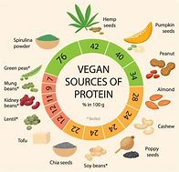 Image result for Lean Protein Vegetarian Foods