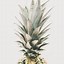Image result for Pineapple Photography