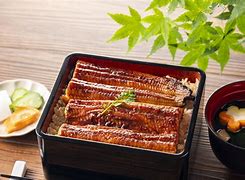 Image result for Eel Japanese Food