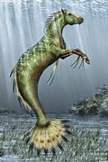 Image result for Japanese Water Creatures