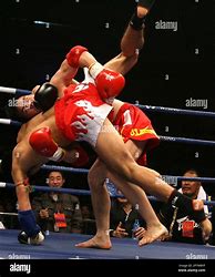 Image result for Kung Fu vs Pro Boxing
