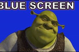 Image result for Pictures Shrek SAS Meme