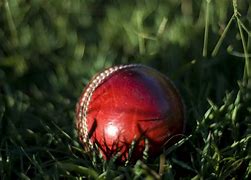 Image result for Cricket Background