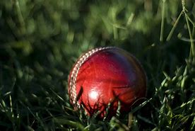 Image result for Background Images 3D Cricket