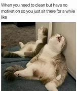 Image result for Laying Down Dead Cat Meme