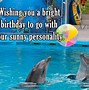 Image result for Adults Dolphins Birthday