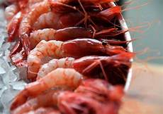 cucina gambero rosso pesca sostenibile il gambero rosso di mazara diventa cucina gambero rosso pesca sostenibile il gambero rosso di mazara diventa