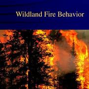 Image result for Wildland Fire Behavior