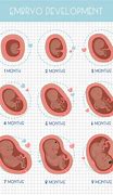 Image result for Pregnancy