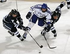 Image result for Ice Hockey Fights