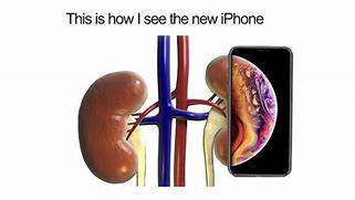 Image result for How to Text Memes On iPhone XS