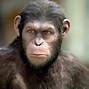 Image result for Scene From Planet of the Apes