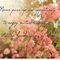 Image result for Screen Lock Life Quote Wallpaper